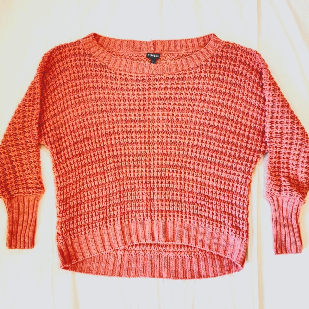 Women's Express sweater